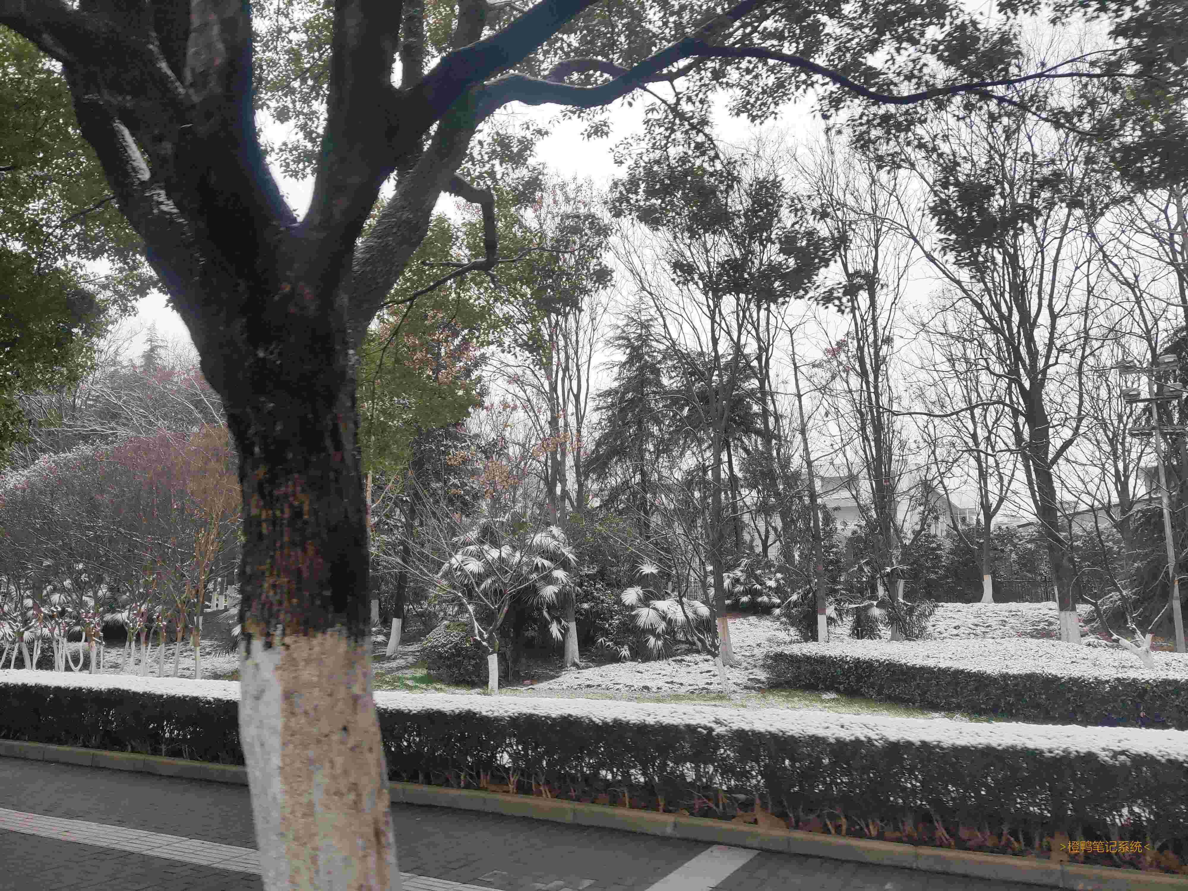 # 雪-  一阵凉风吹过, 飞来的雪花给这世界蒙上了白色的面纱, 似乎没人能知道这白雪下究竟埋了些什么. -  一眼望去, 是纯真的小孩在探索, 他们要揭去这白色的面纱, 看看下面有什么. 为了保守秘密, 雪花只能融化自己, 使小朋友们的手红红的(熔化吸热). 小朋友们好像感到很不舒服, 于是, 他们将雪用力揉成一团, 往旁边扔去, 却无意中砸到了自己的小伙伴. 被砸的小朋友不甘示弱, 也拿起雪, 使尽了全身的力量, 往对方身上砸. 一场无休止的循环开始了...... 不过天色渐渐暗了下来, 又由于雪花数量庞大, 小朋友没有足够的时间将它们全部揭开. 他们笑着跑回了家, 等待明天的到来......-  时间仿佛停止了, 在月光下, 雪花发出微弱的光芒, 似乎在养精蓄锐, 等待明天继续对抗……-  \-雪, 你很Special.\- (此句改编自我们校长讲过的一句话)