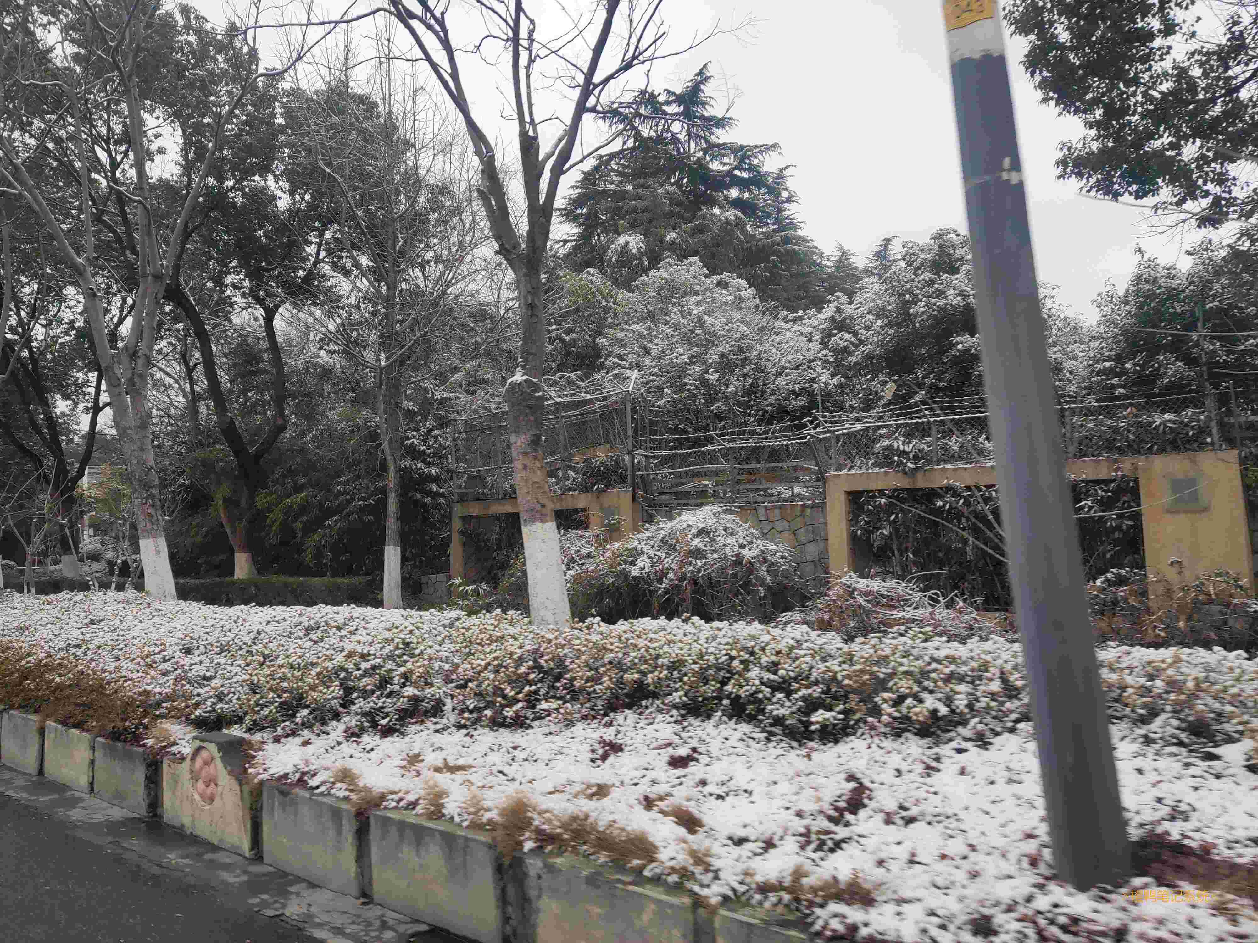 # 雪-  一阵凉风吹过, 飞来的雪花给这世界蒙上了白色的面纱, 似乎没人能知道这白雪下究竟埋了些什么. -  一眼望去, 是纯真的小孩在探索, 他们要揭去这白色的面纱, 看看下面有什么. 为了保守秘密, 雪花只能融化自己, 使小朋友们的手红红的(熔化吸热). 小朋友们好像感到很不舒服, 于是, 他们将雪用力揉成一团, 往旁边扔去, 却无意中砸到了自己的小伙伴. 被砸的小朋友不甘示弱, 也拿起雪, 使尽了全身的力量, 往对方身上砸. 一场无休止的循环开始了...... 不过天色渐渐暗了下来, 又由于雪花数量庞大, 小朋友没有足够的时间将它们全部揭开. 他们笑着跑回了家, 等待明天的到来......-  时间仿佛停止了, 在月光下, 雪花发出微弱的光芒, 似乎在养精蓄锐, 等待明天继续对抗……-  \-雪, 你很Special.\- (此句改编自我们校长讲过的一句话)