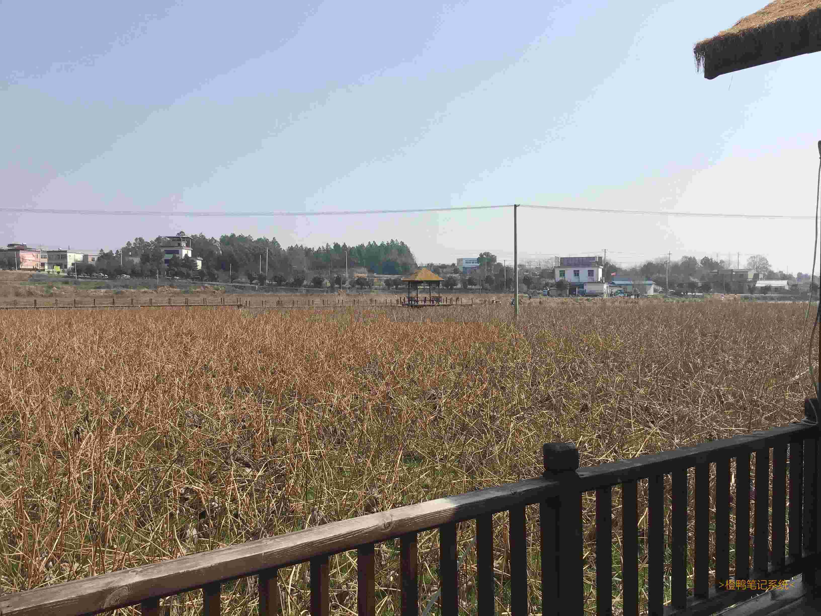 # 最近的照片们! -发现了一些[神奇|好看]的事情, 分享一些关于它们的图片. -补: 乐园-笔记系统图片处理逻辑升级啦, 速度会快一点点, 现在还支持展示gif图片了哦! 