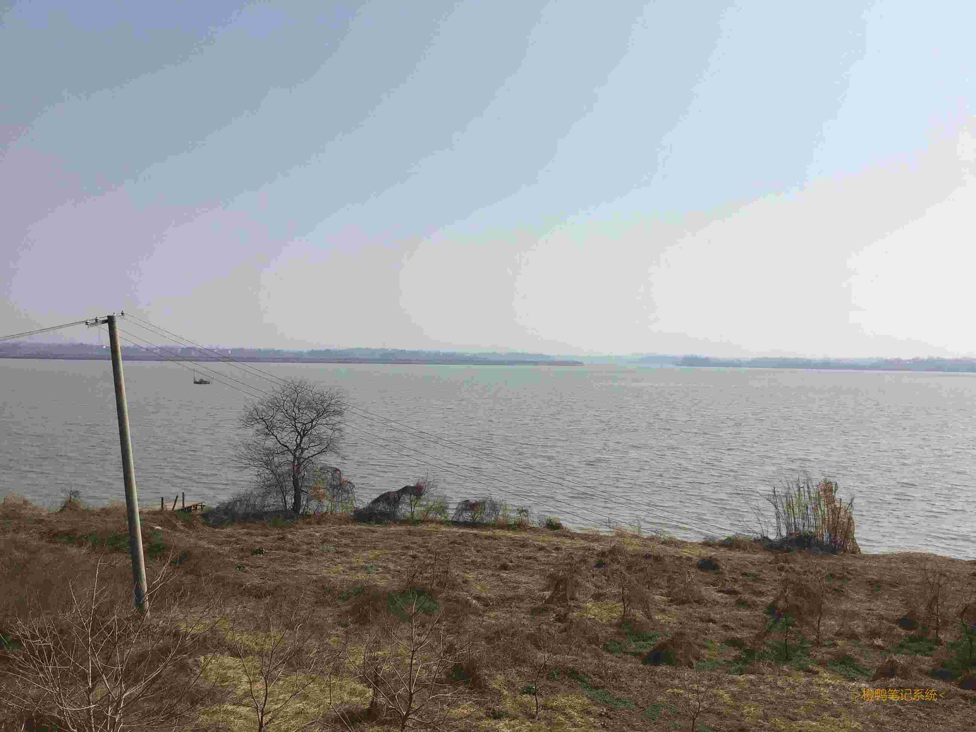 # 最近的照片们! -发现了一些[神奇|好看]的事情, 分享一些关于它们的图片. -补: 乐园-笔记系统图片处理逻辑升级啦, 速度会快一点点, 现在还支持展示gif图片了哦! 