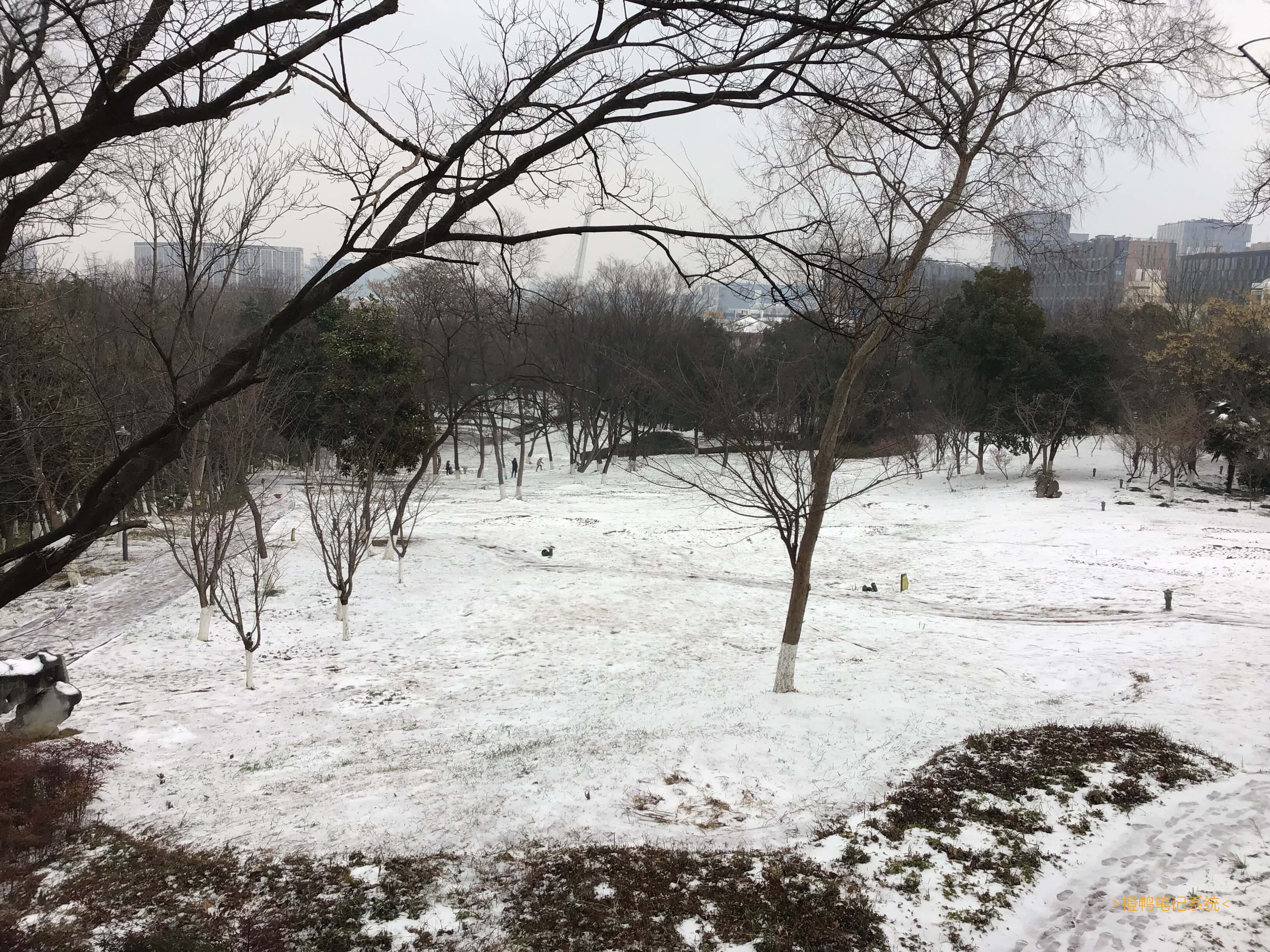 # 继续分享一些美景哦-美中不足的是: 学校作业一项都没写完(还好多放了一天假)! -补:发现他人许多项目的提示文字`不合法`是错误翻译的遗留问题(比如三角化简公式被翻译为诱导公式). 法的英语是law, 而law又有规则rule的意思. 所以不合法意为不合规则而不一定是不合法律.