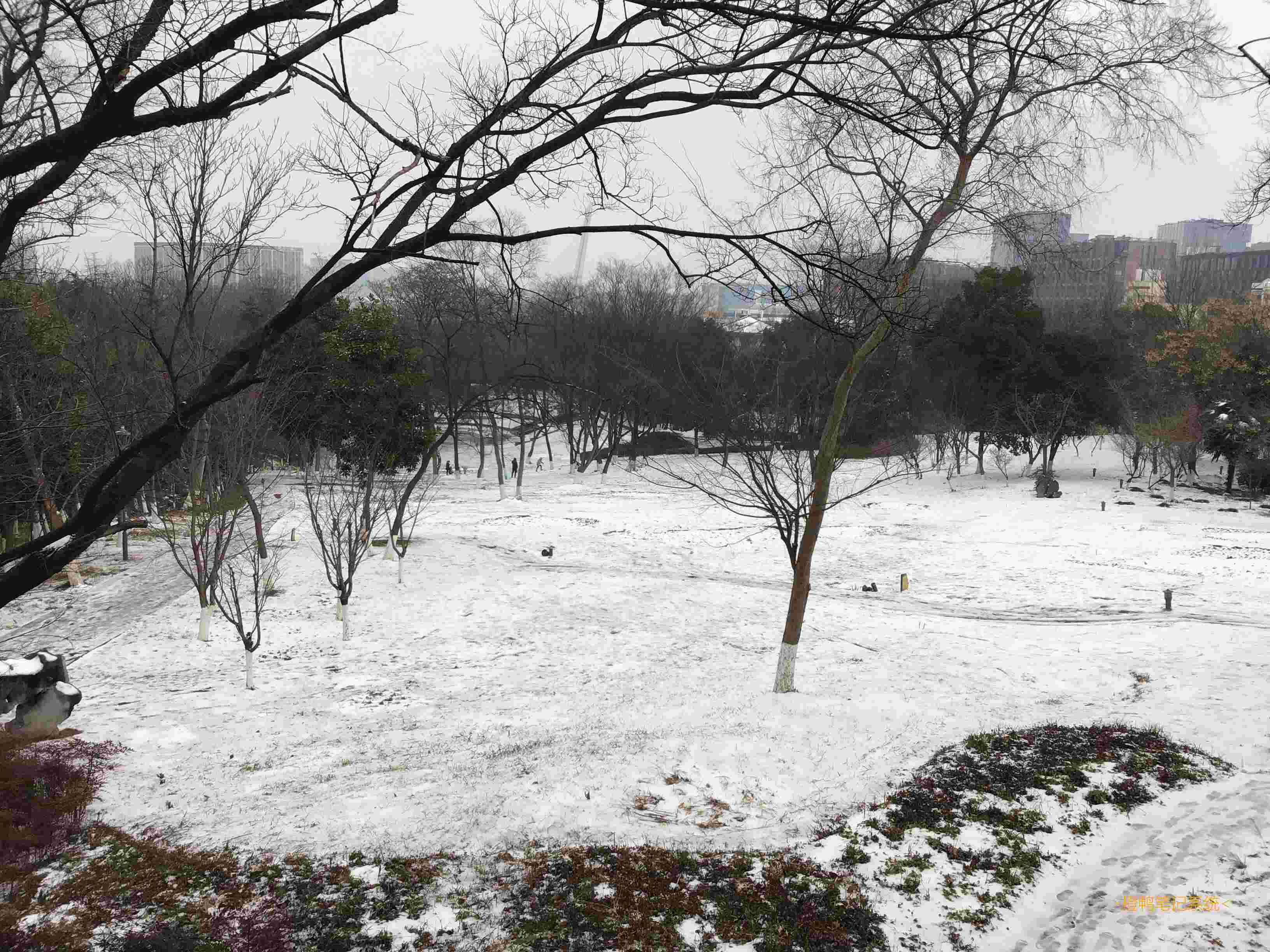 # 继续分享一些美景哦-美中不足的是: 学校作业一项都没写完(还好多放了一天假)! -补:发现他人许多项目的提示文字`不合法`是错误翻译的遗留问题(比如三角化简公式被翻译为诱导公式). 法的英语是law, 而law又有规则rule的意思. 所以不合法意为不合规则而不一定是不合法律.